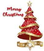 Divya India - Customised Stole - Merry Christmas