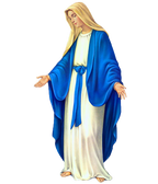 Divya India - Divine Stole - Mount Mother Mary